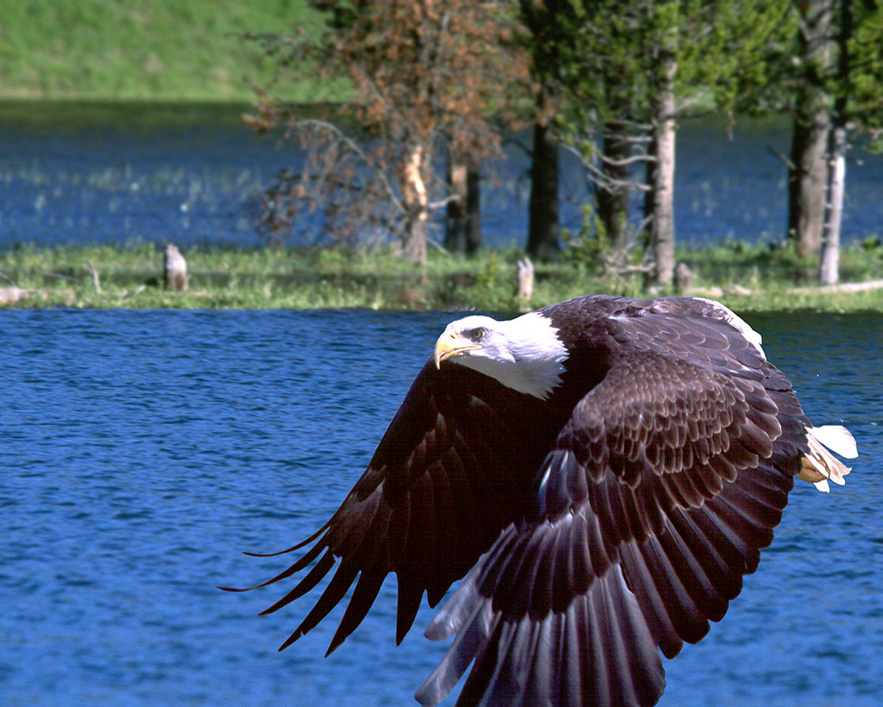 Eagle_Lake.jpg
